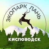 Ферма спасенных животных «ЛАНЬ»