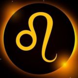 LEO TOSS REPORT