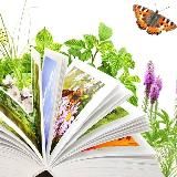 Iread.uz For kids
