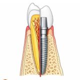 Dental books lib