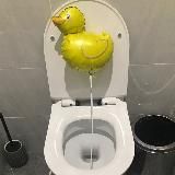 туалетный утенок 🐣