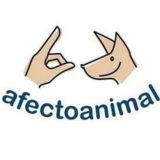 Afecto Animal