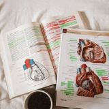 Estudiantes de Medicina