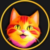 Котопуз - забавные животные