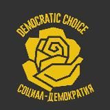 Democratic Choice🐱🌹