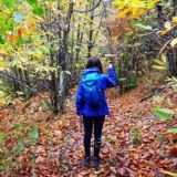 I Sentieri di Arianna 🐾 SOLO EVENTI