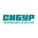СИБУР: Педагогический отряд