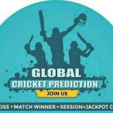 GLOBAL CRICKET PREDICTION (2014)