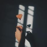گل رز 🌹