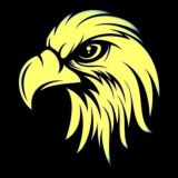 Falcons