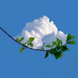 مدیتیشن موزیک