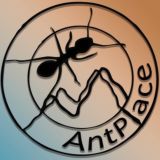 AntPlace | Blog
