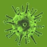 Corona Virus Informationen 2