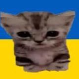 не мироненко