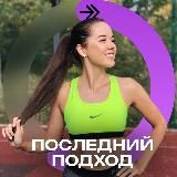 Камилла Общество | ОГЭ 2026 | Skysmart Экзамены