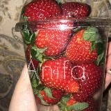 Anifa