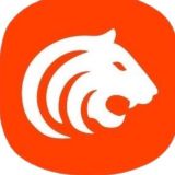 Bigtiger_27