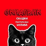 Скидовик