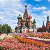 Реальный гороскоп