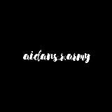AIDAN GALLAGHER