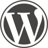 Wordpress Plugins & Themes