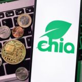 Криптовалюта XCH Chia🚀