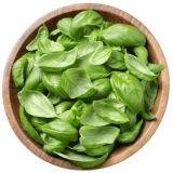 FoodSeeds-доставка съедобных цветов, микрозелени и салатов