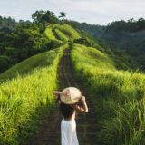 Land Bali for Sale and Lease