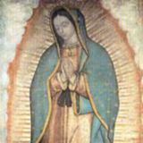 DivinoVolereDivinoAmore