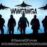 Special Q Forces