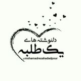 محمدرضا حدادپور جهرمی