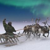 НИЖНИЙ бесПРЕДЕЛ