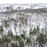 #Отряд111.62