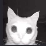 Логово