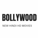 🎬 Bollywood Superhit HD