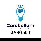 Cerebellum Videos & Notes