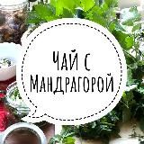 «Чай с мандрагорой» с Анной Павлюк