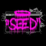 { SEED } § D3COD3RS HUB
