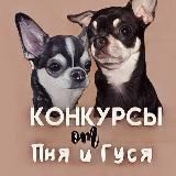 Конкурсы от ежевики 🍂
