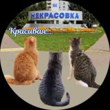 Касается Некрасовки