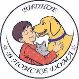 🏠 Помощь животным г. Видное