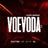 VOEVODA🇷🇺
