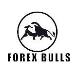 FOREX BULLS ACADEMY