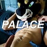 PalaceWolf - OnlyFans 🔞