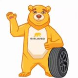 Наша команда Gislaved