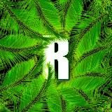 Rahman Portfolio
