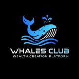 Whales Coin - Chat