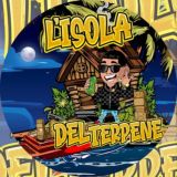 🏝️ISOLA DEL TERPENE VETRINA🏝️