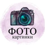 ФОТОподборка