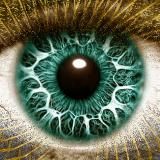 PsyUA
